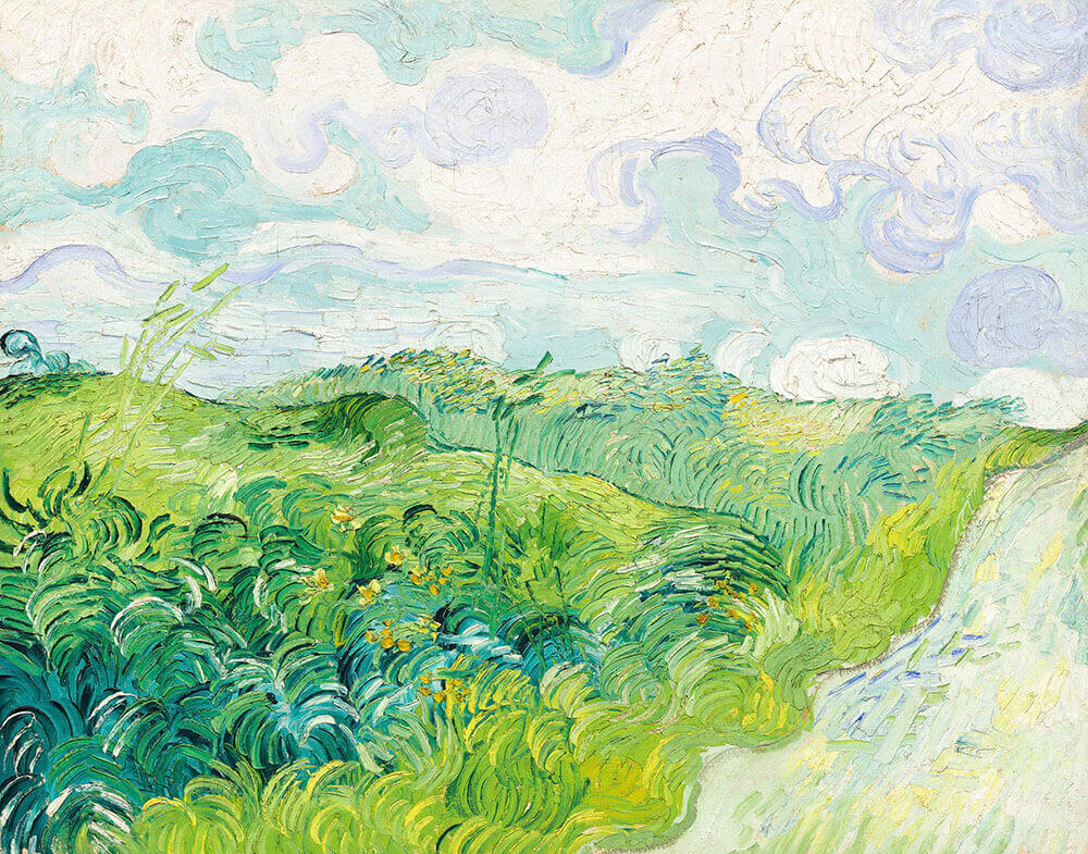green wheat fields