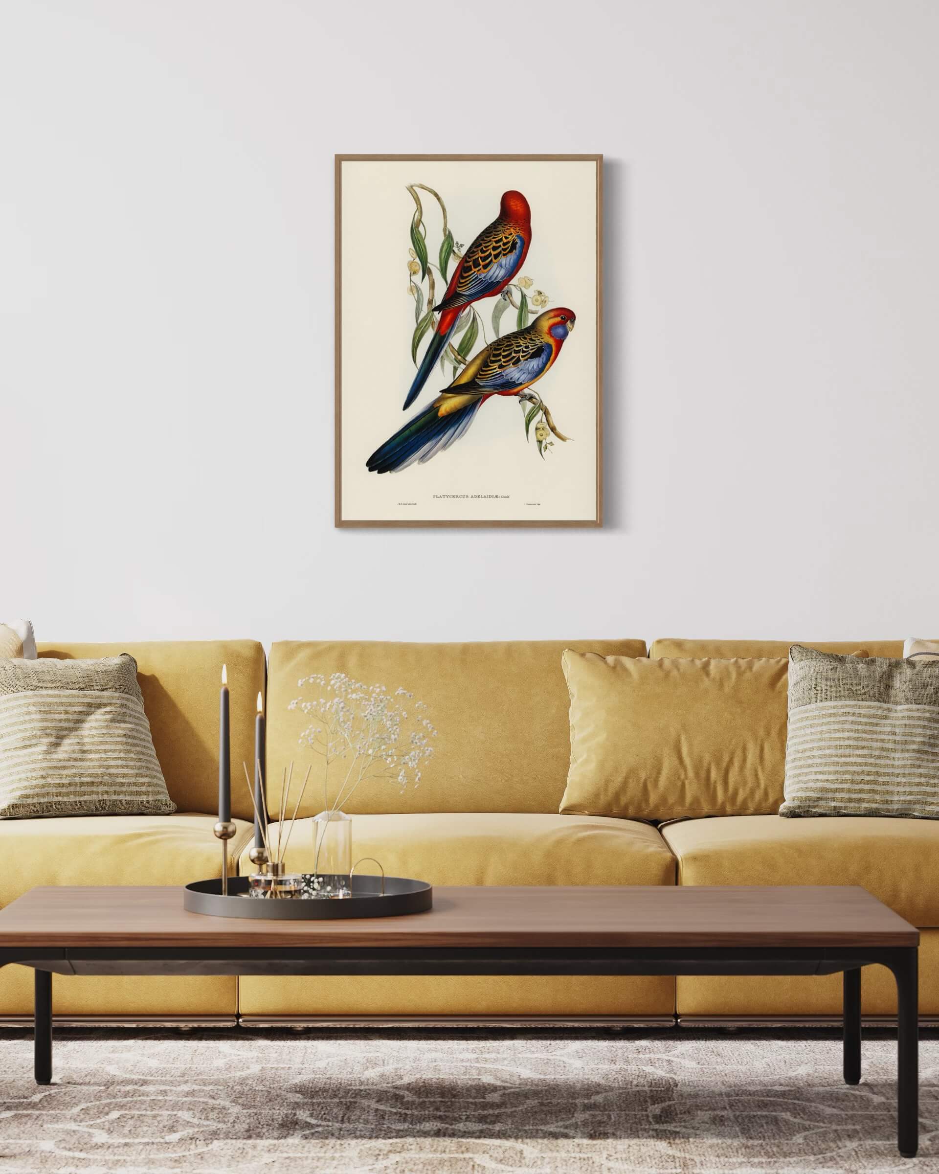 Adelaide Parakeet - to fugle på en gren