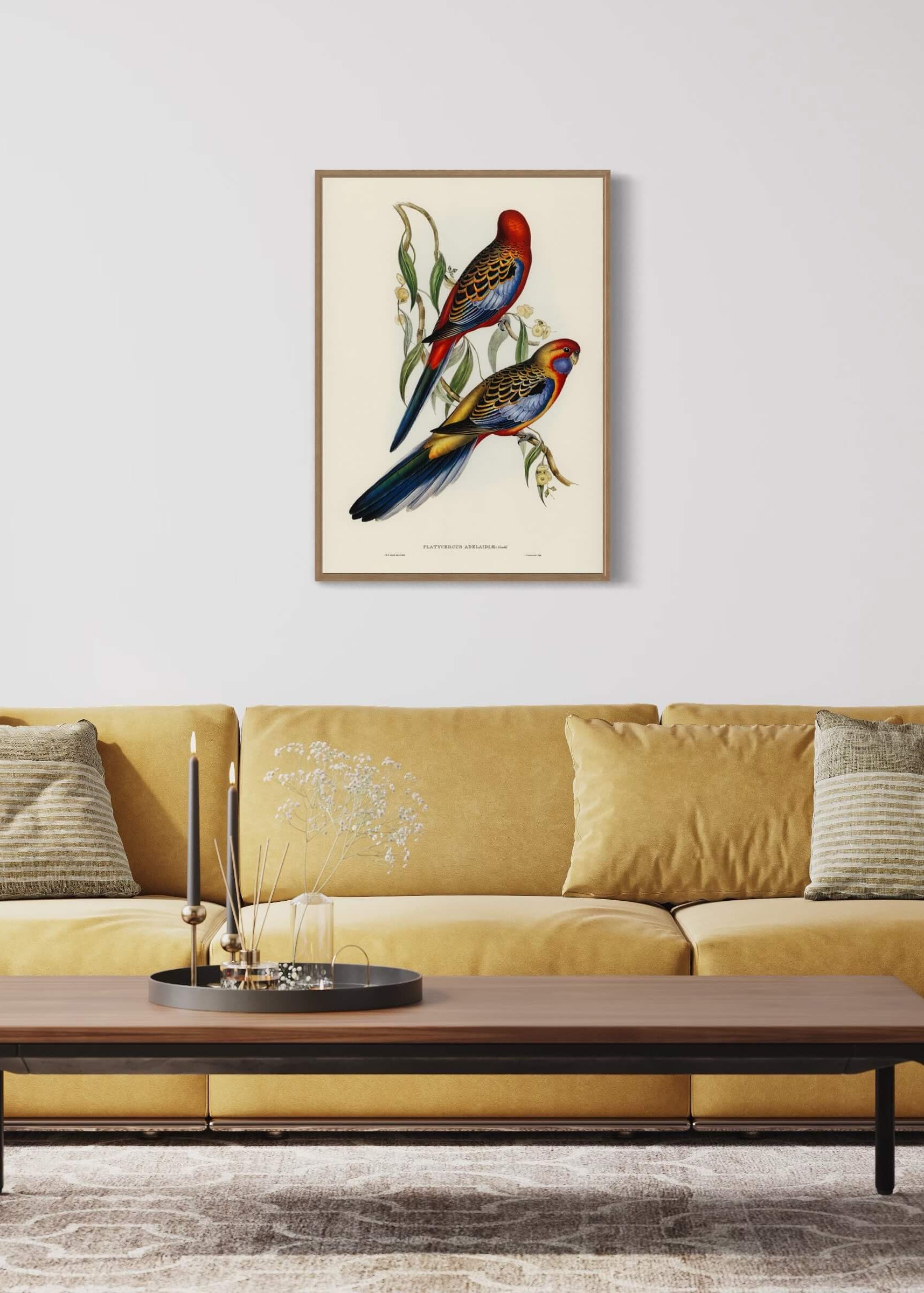 Adelaide Parakeet - to fugle på en gren