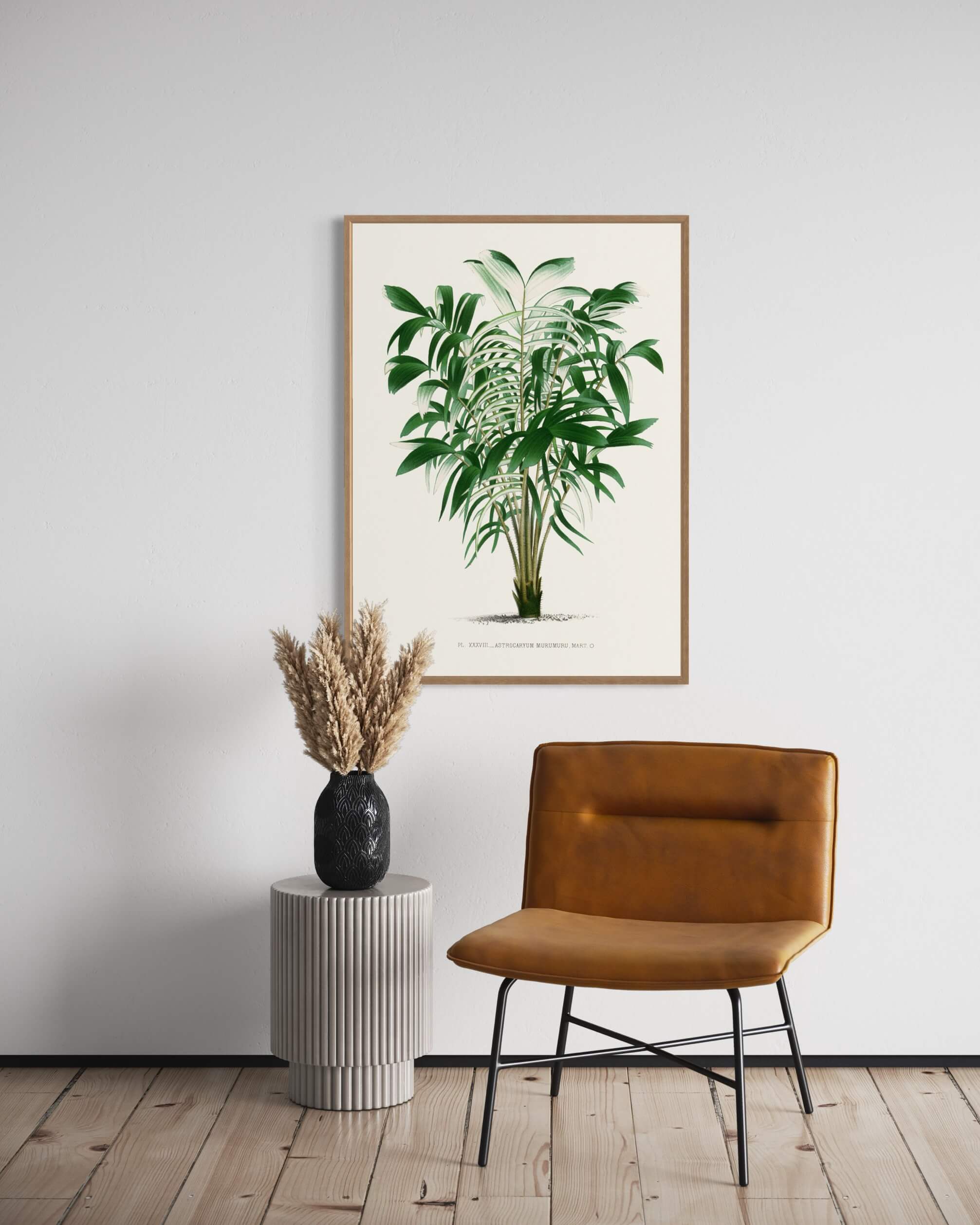 Antik Illustration af Palmeblade