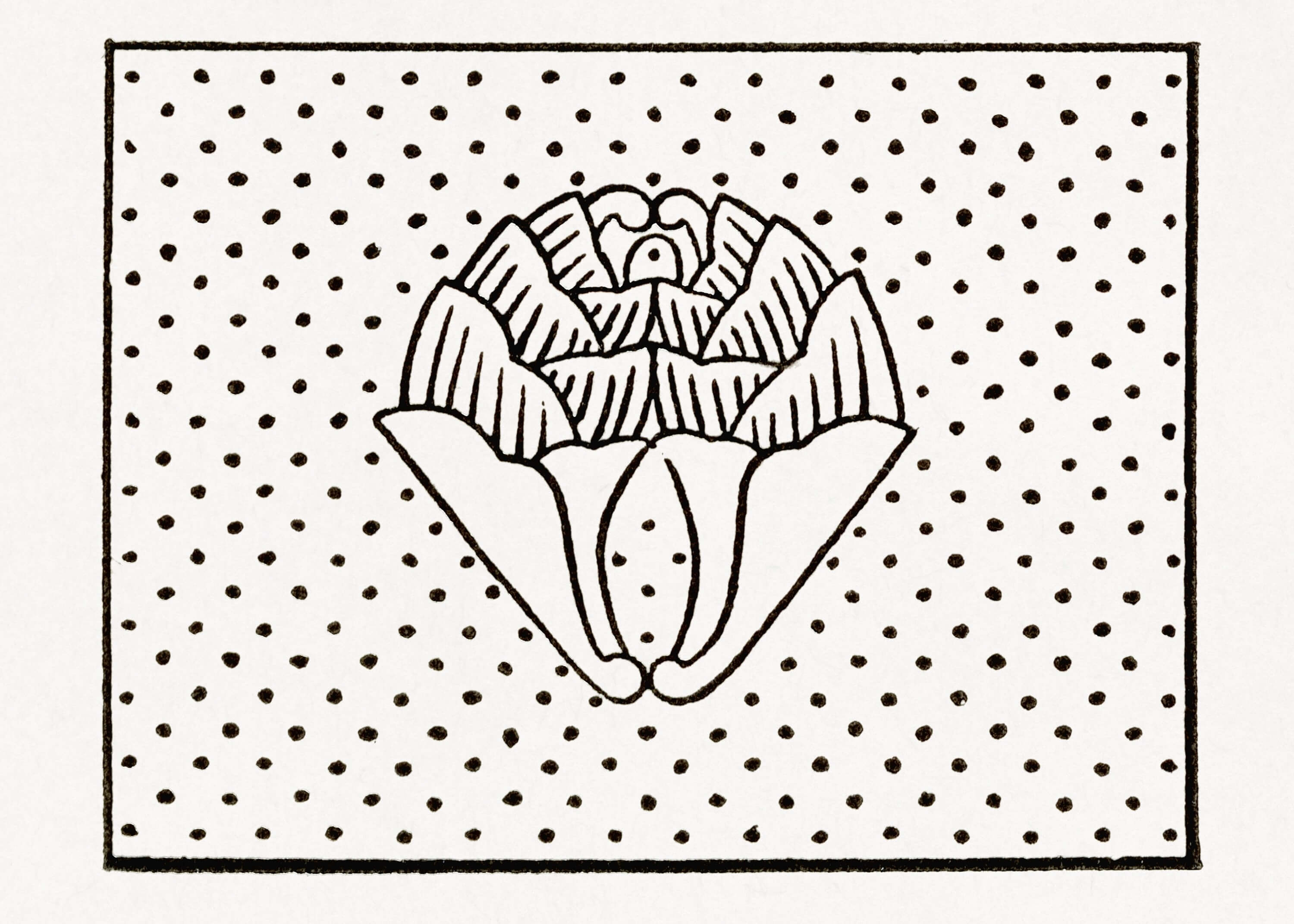 Antikt print af Japansk Mønster fra Posters: Sort-hvid illustration af stiliseret blomst med blad og bjergmønstre på en baggrund med jævnt fordelte sorte prikker-perfekt som elegant vægkunst.