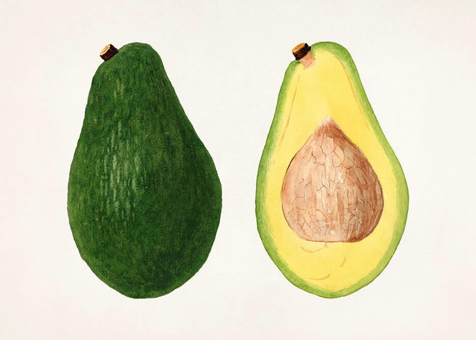 Avokadoen
