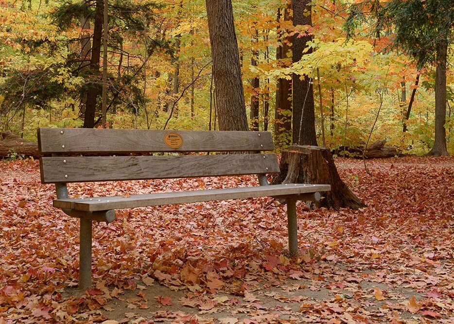 Bænk i efteråret