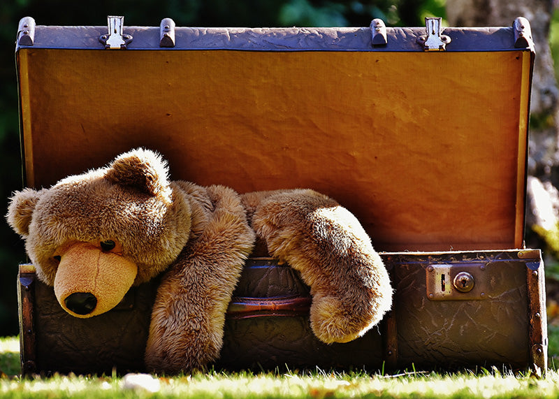 Bamse i kuffert