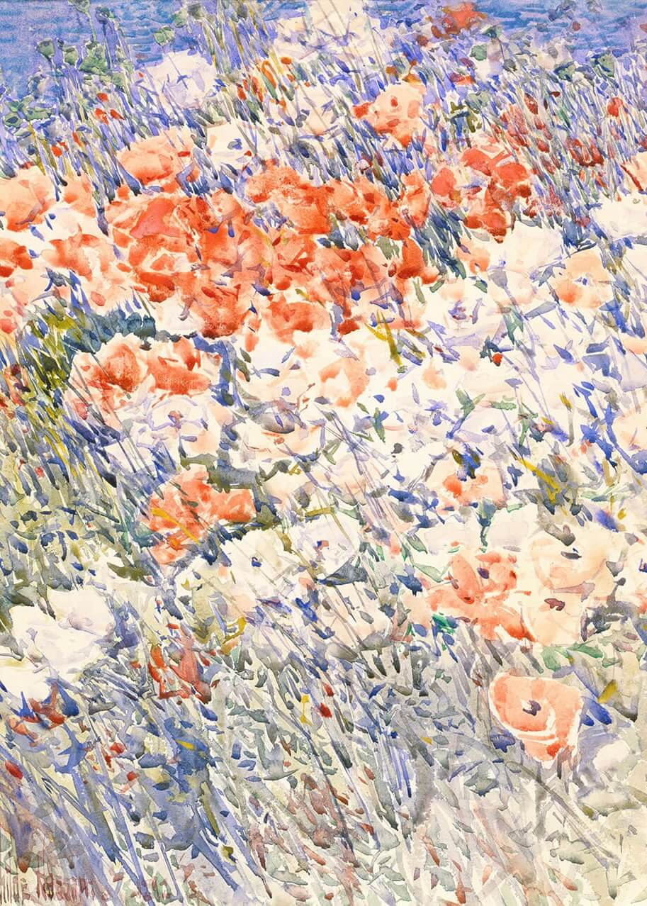 Blomster i Sommerbrise