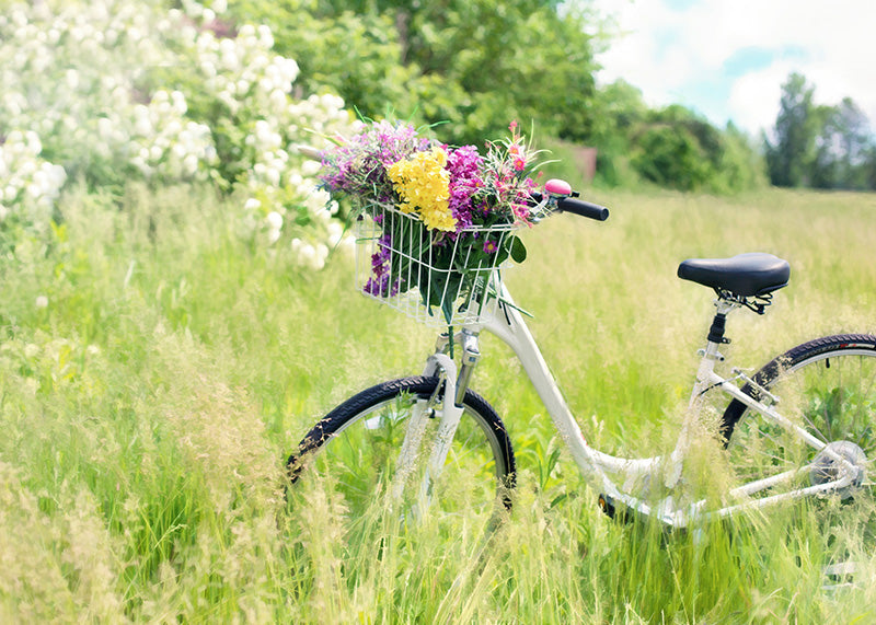 CYkel på græsmark