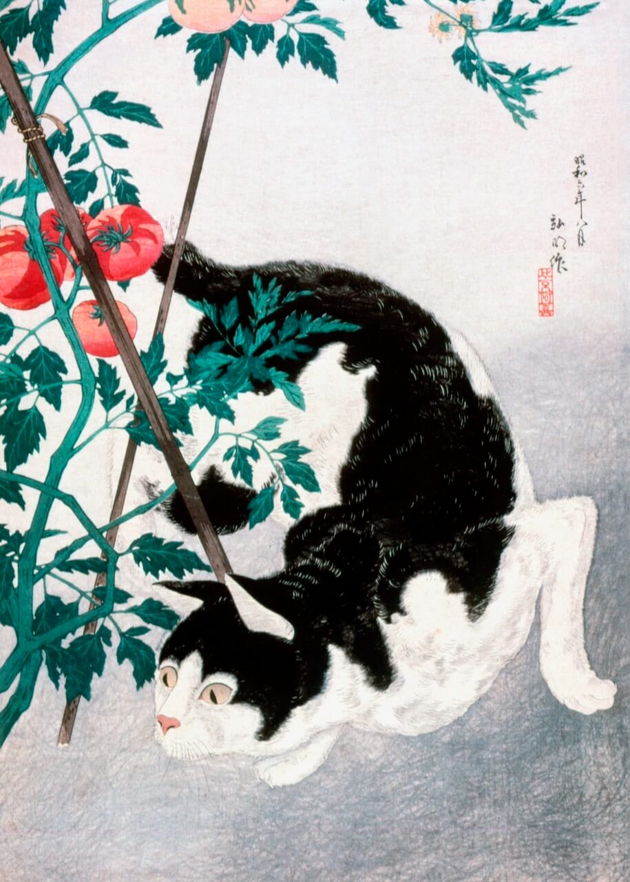 Plakaten "Cat with Tomato Plant" fra Posters viser en nysgerrig hvid kat, der leger under en tomatplante, detaljeret i traditionel japansk stil - et ideelt kunstværk til enhver katteelsker.