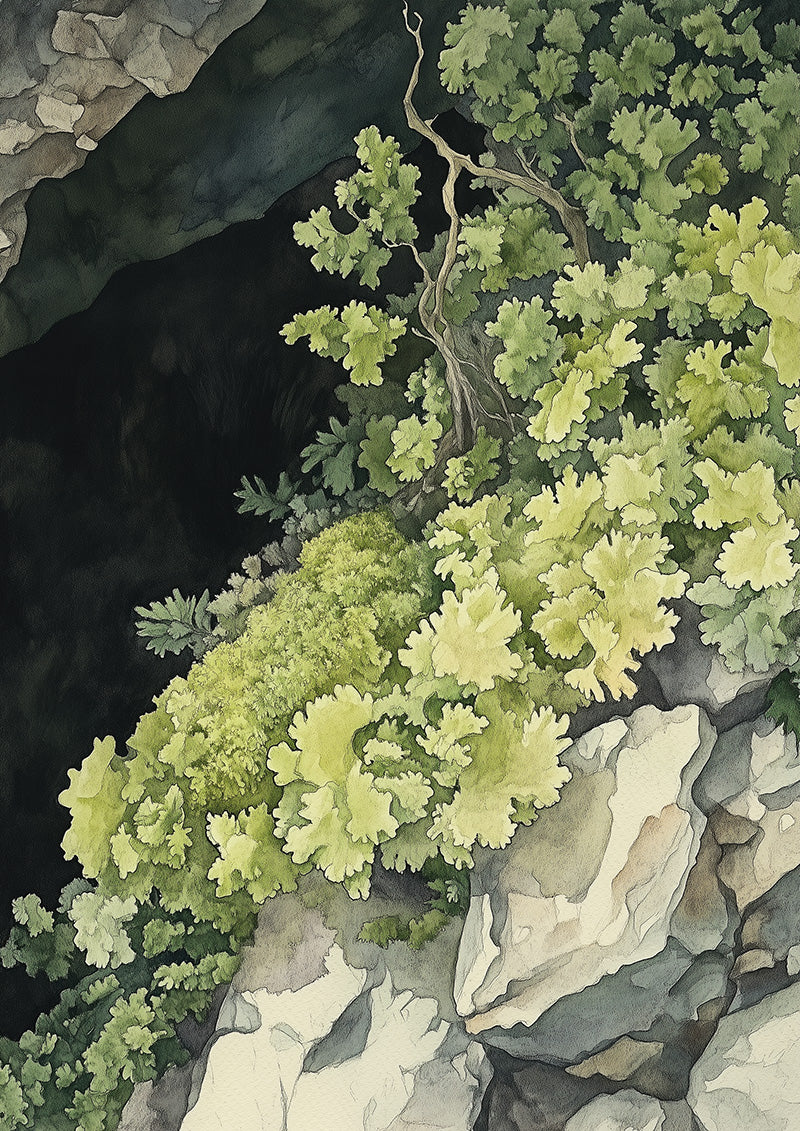 Clift Cave