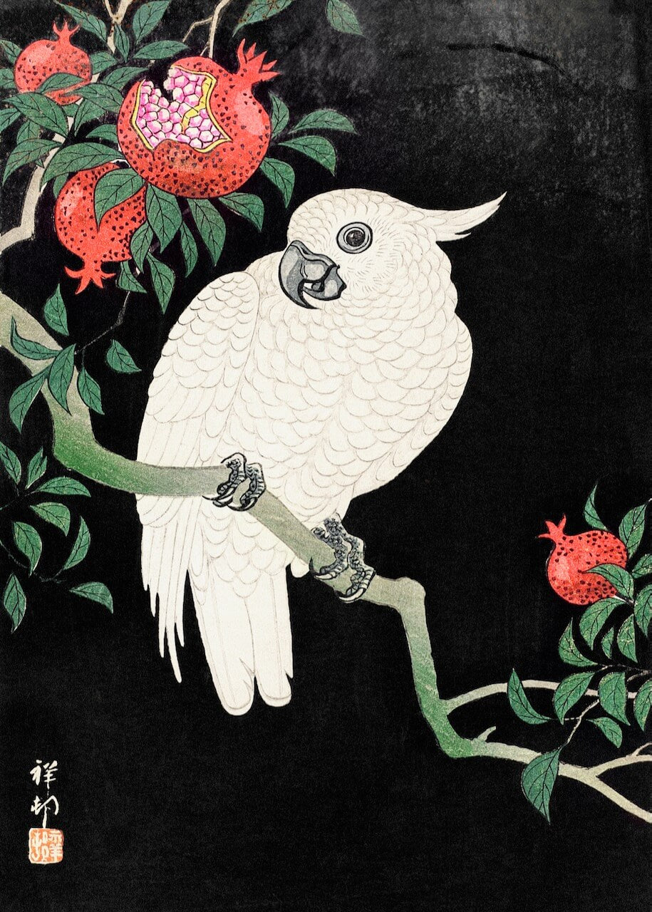 Cockatoo and Pomegranate af Ohara Koson fra Posters viser en hvid kakadue på en bladgren med røde granatæbler mod sort, fremhævet af kalligrafi i asiatisk stil og et rødt stempel i nederste venstre hjørne.