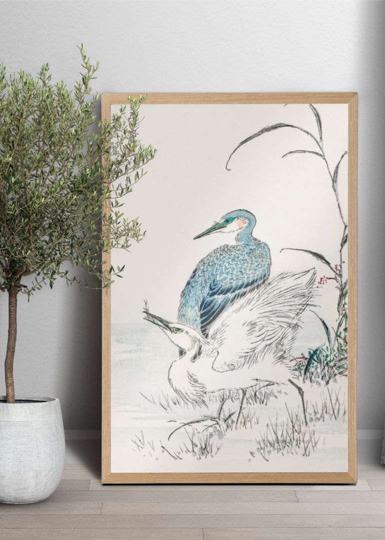 Night Heron and Little Egret