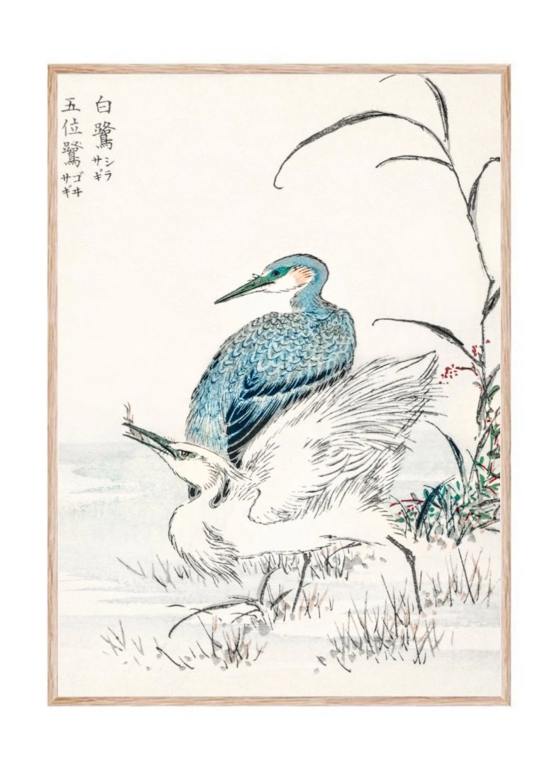 Night Heron and Little Egret