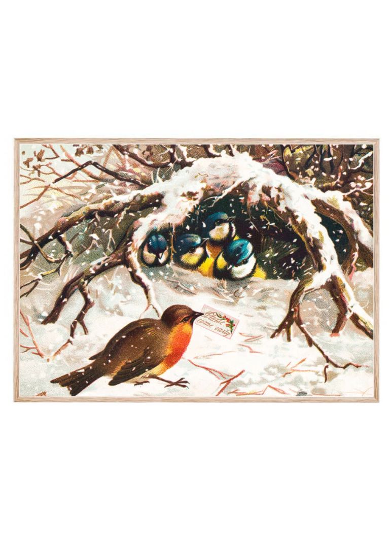 vintage christmas postcard depicting birds in snow