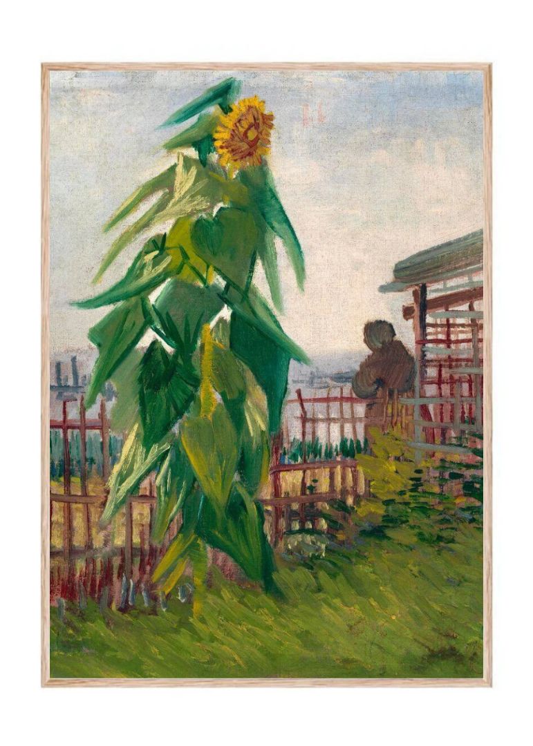 Allotment with Sunflower (1887)