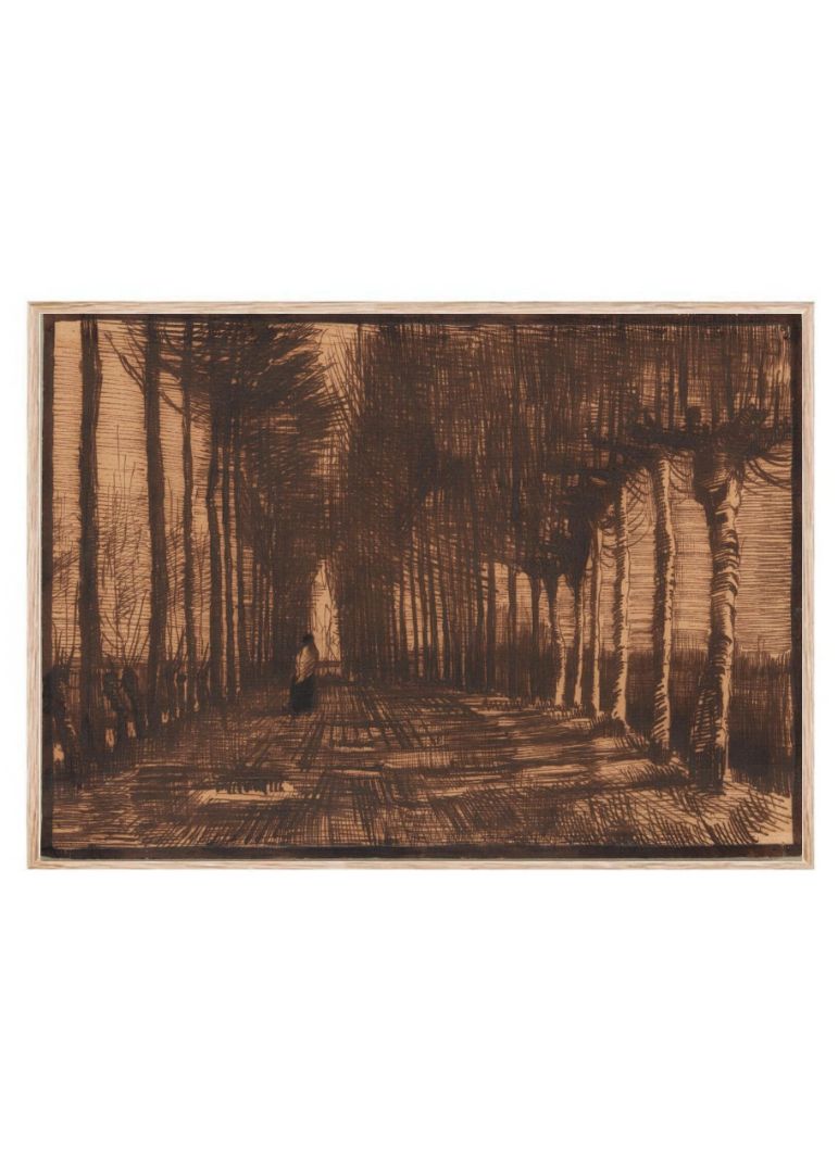 Avenue of Pollard Birches and Poplars