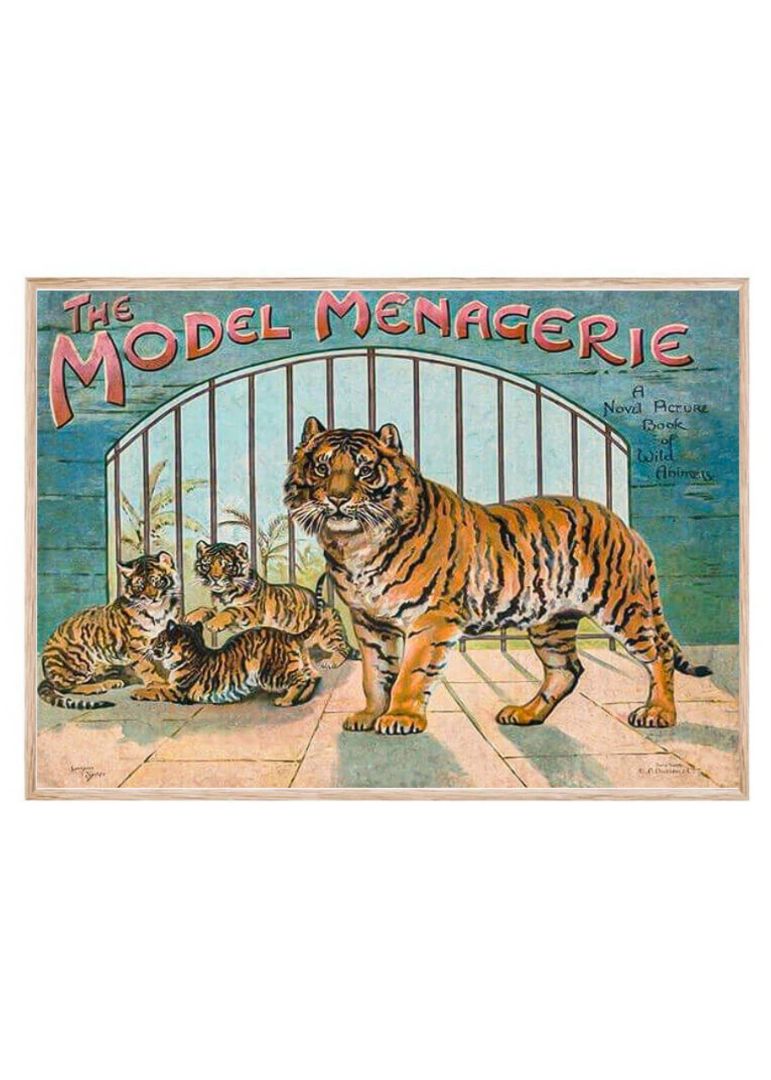 The Model Menagerie