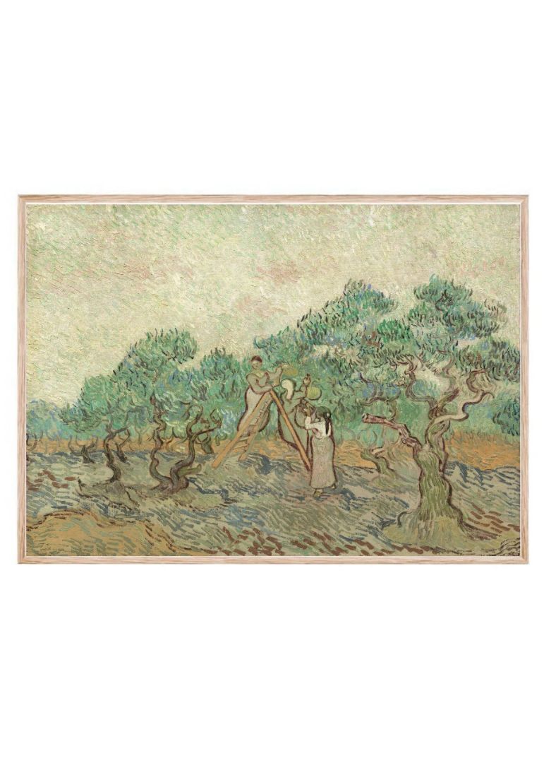 The Olive Orchard (1889)