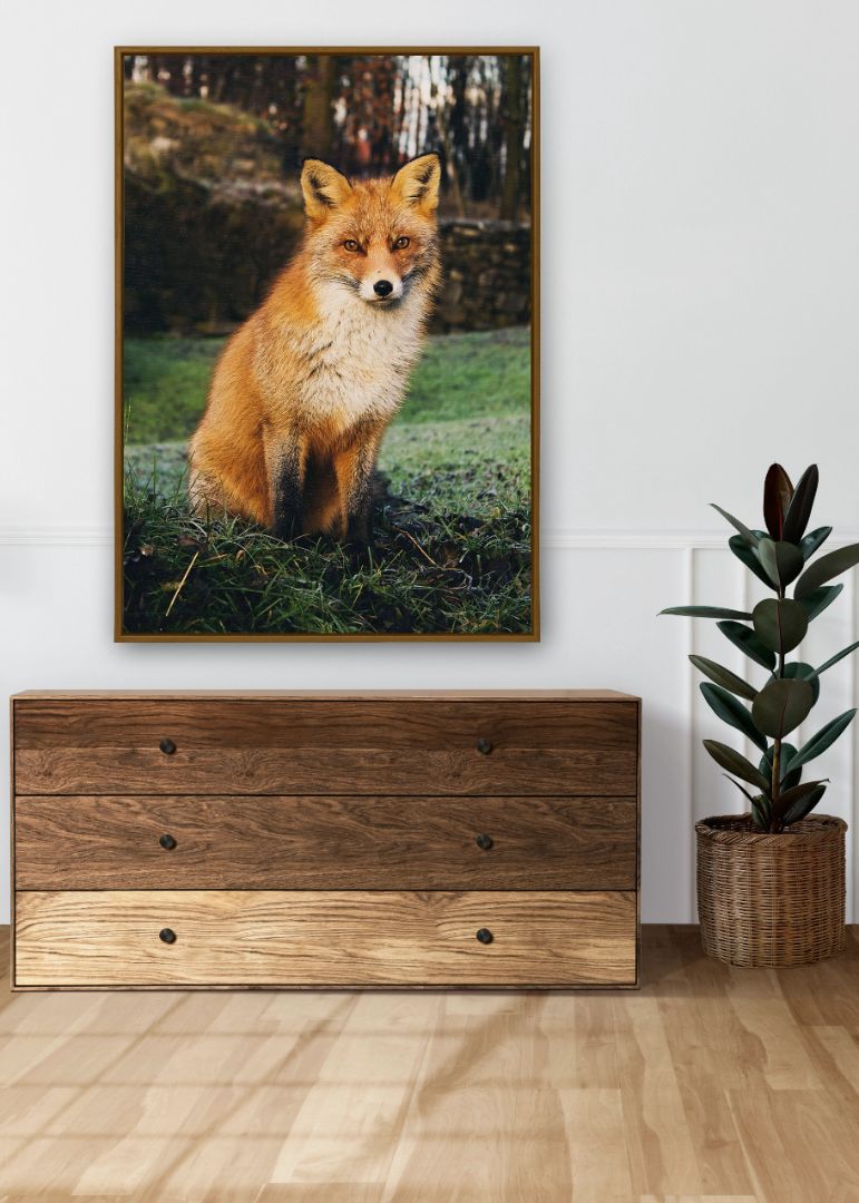 Brown Fox Sitting on Grass Field
