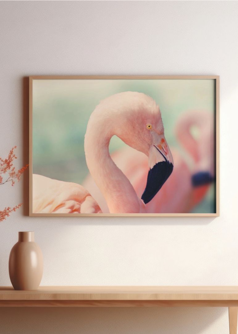 Flamingo i Pastel