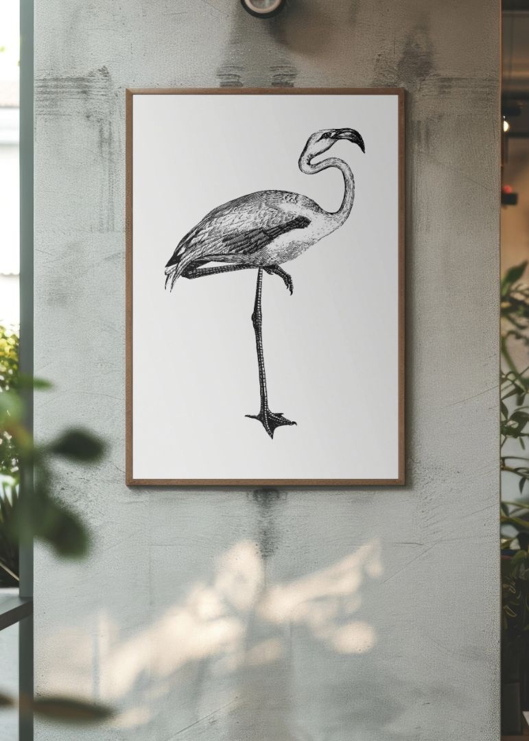 Flamingo Fra Rejsen Over Havet