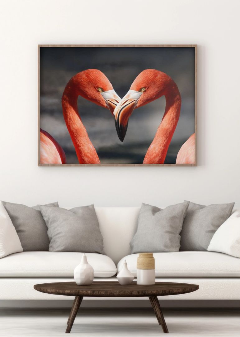 Heart of Two Pink Flamingos