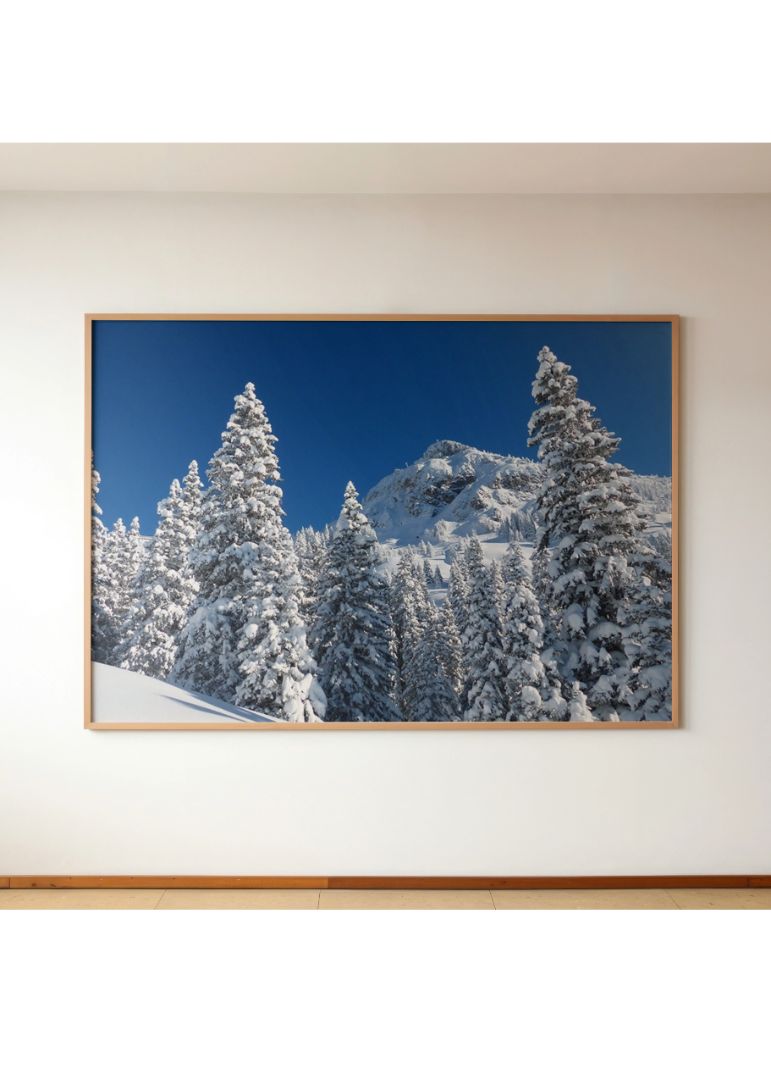 Snebeklædte træer i Alperne