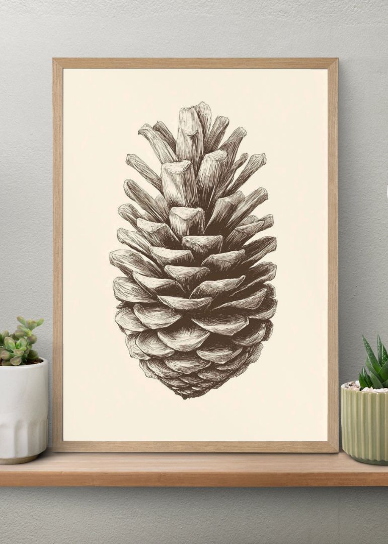 Solus Pine Cone