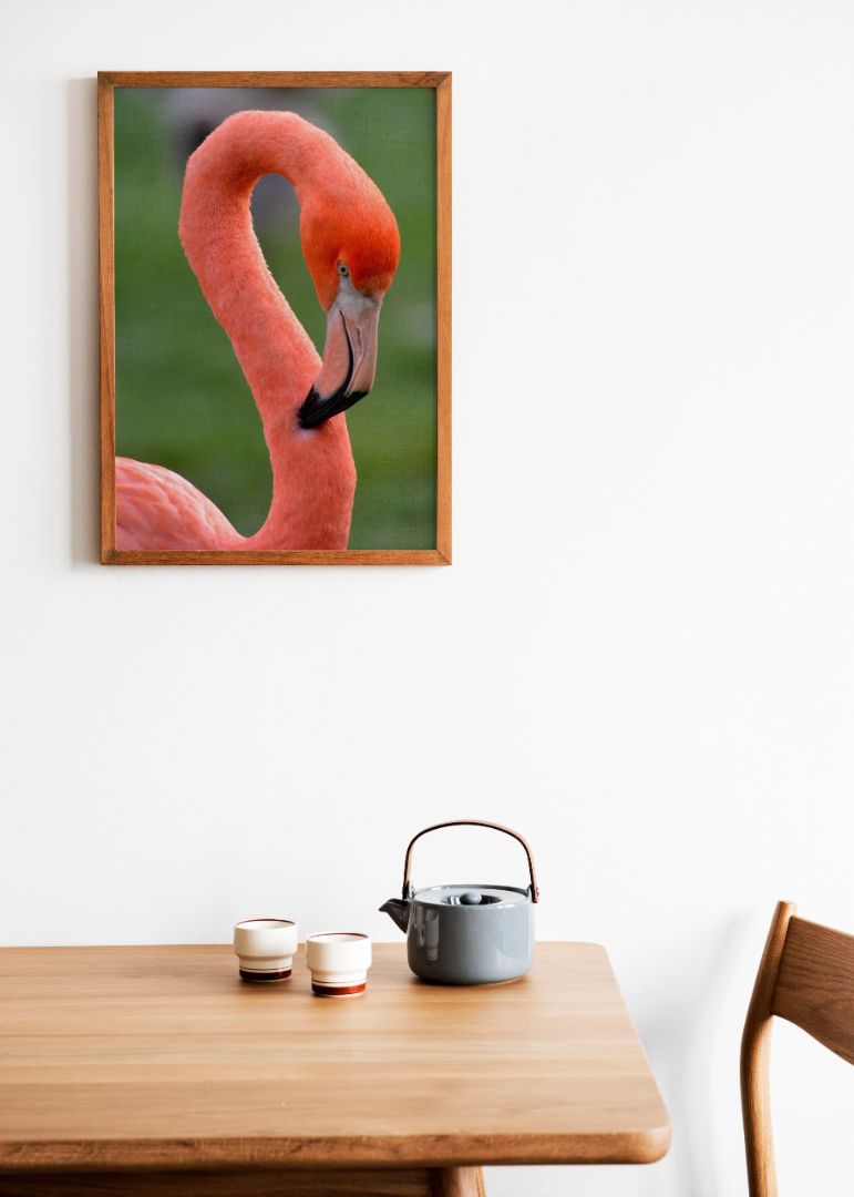 The Flamingo Head