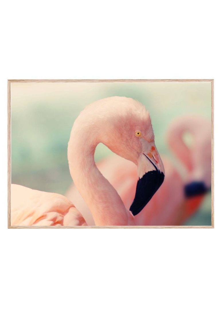 Flamingo i Pastel