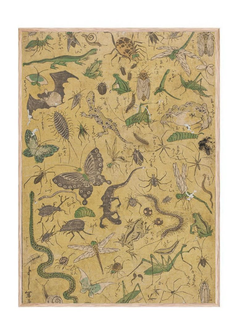 New Publication of Selected Insects