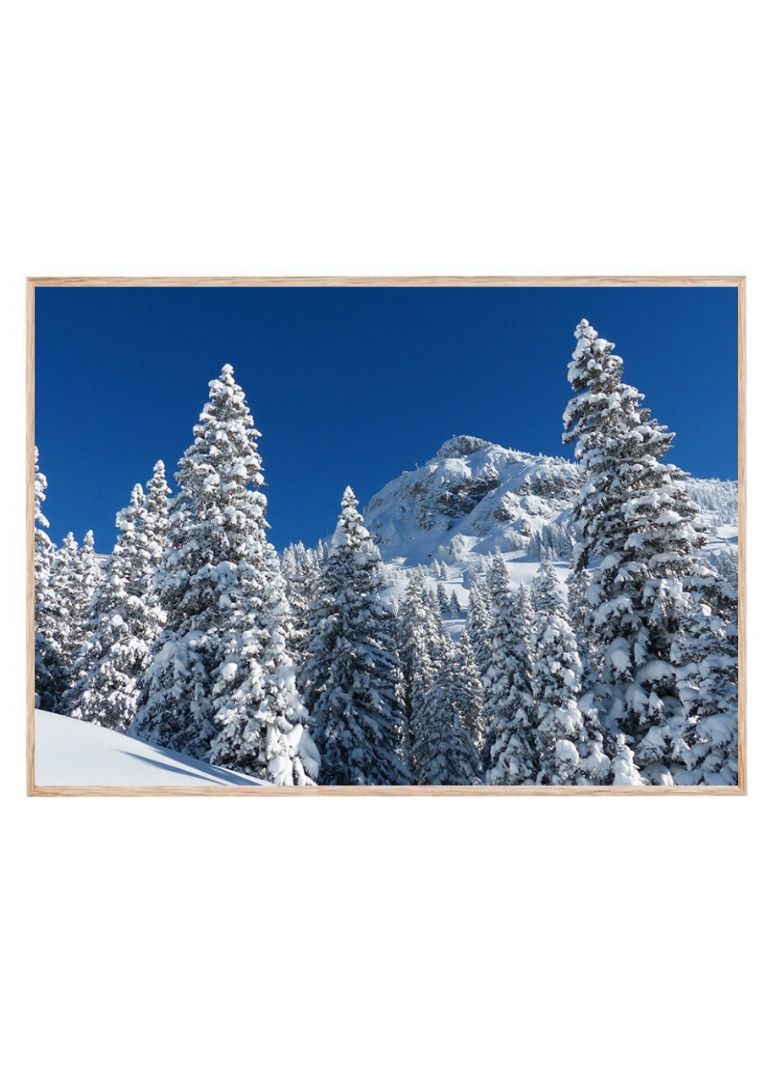 Snebeklædte træer i Alperne