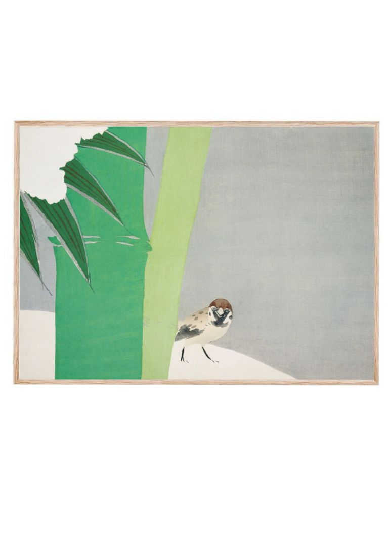 Sparrow