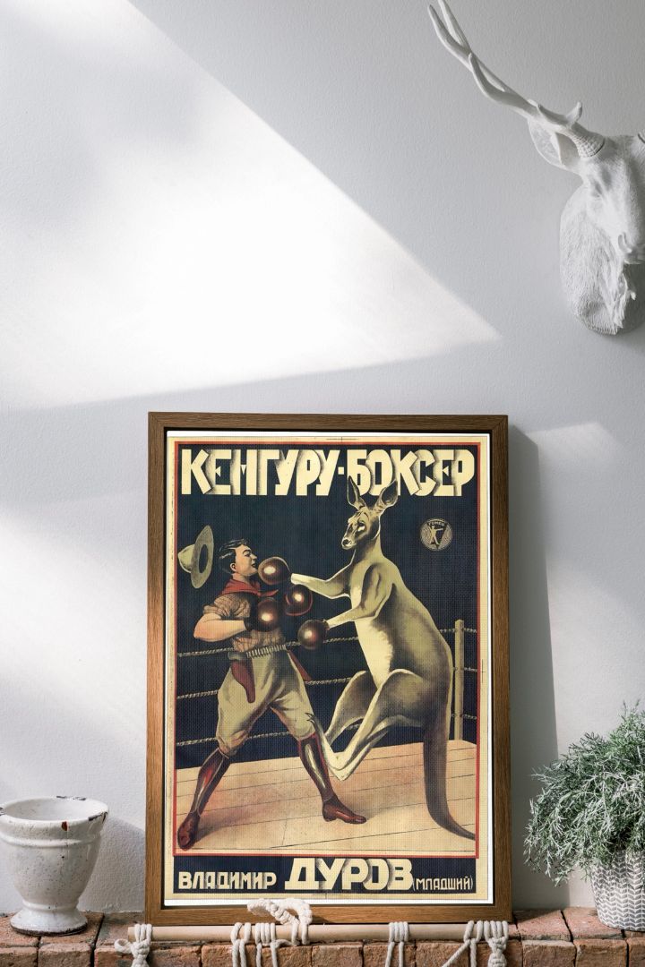 Boxing Kangaroo