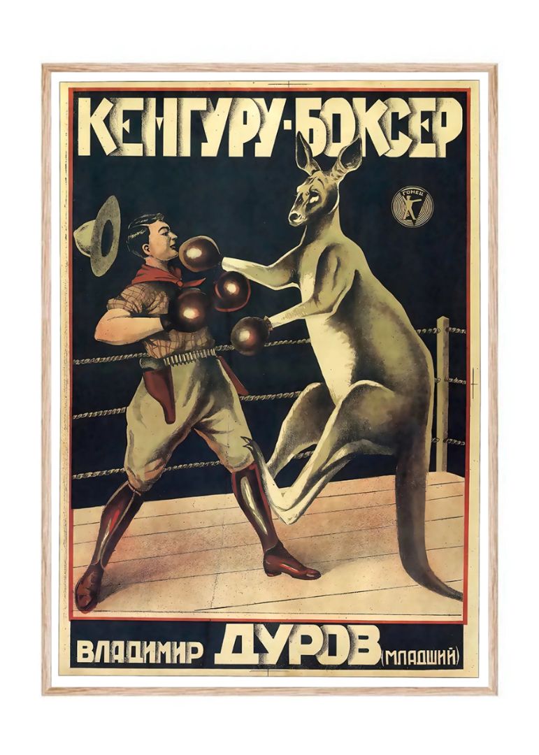Boxing Kangaroo