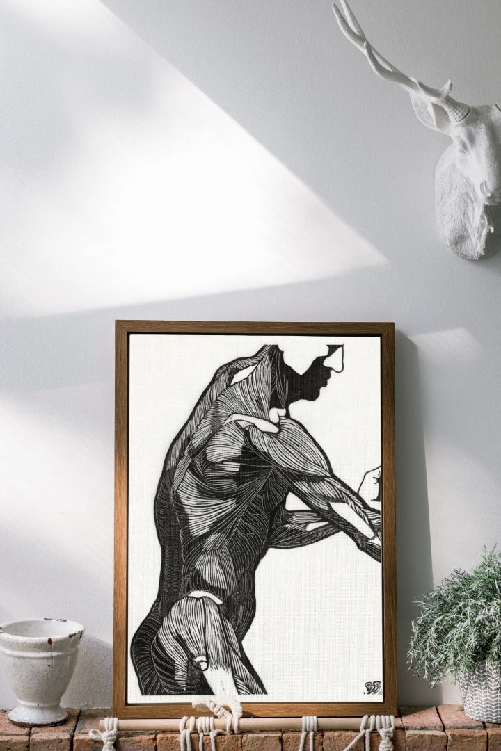 Anatomical Study Of A Man's Lateral And Arm Muscles (1906–1945)