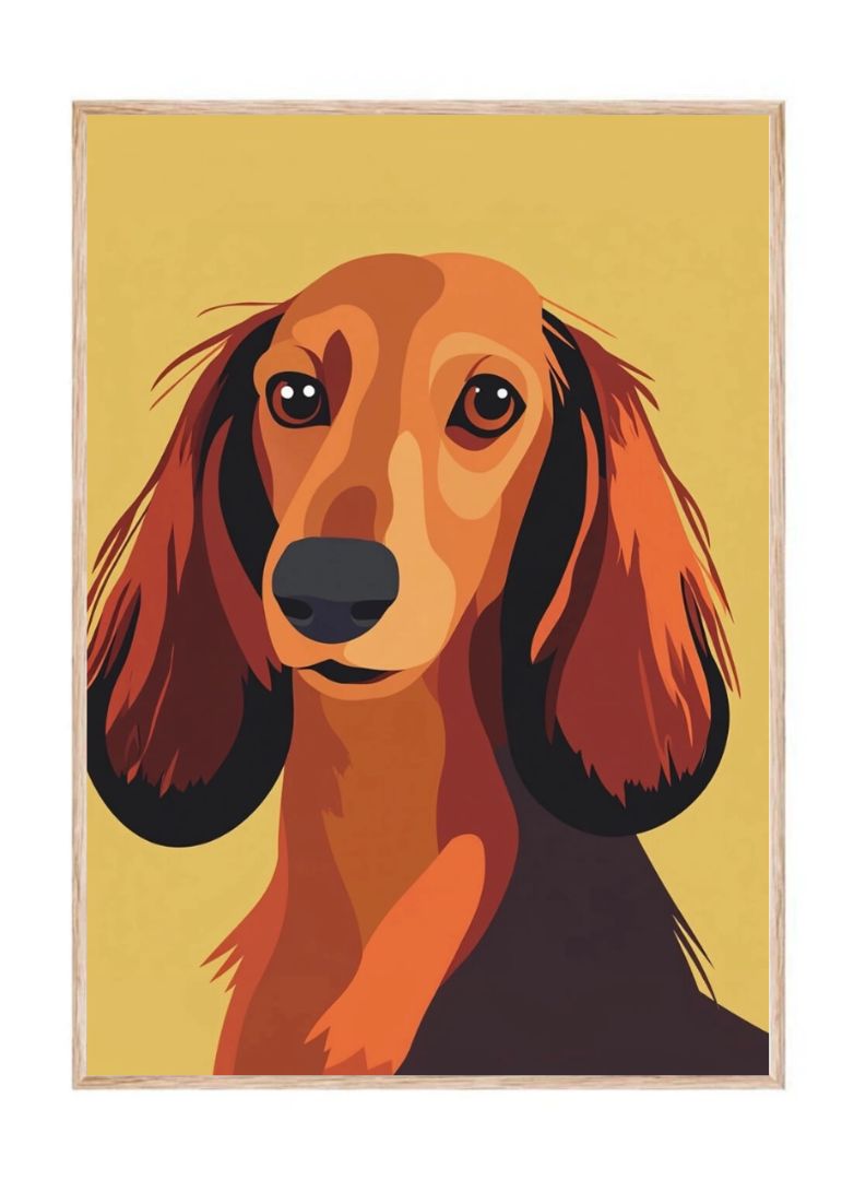 Gravhundens lange ører