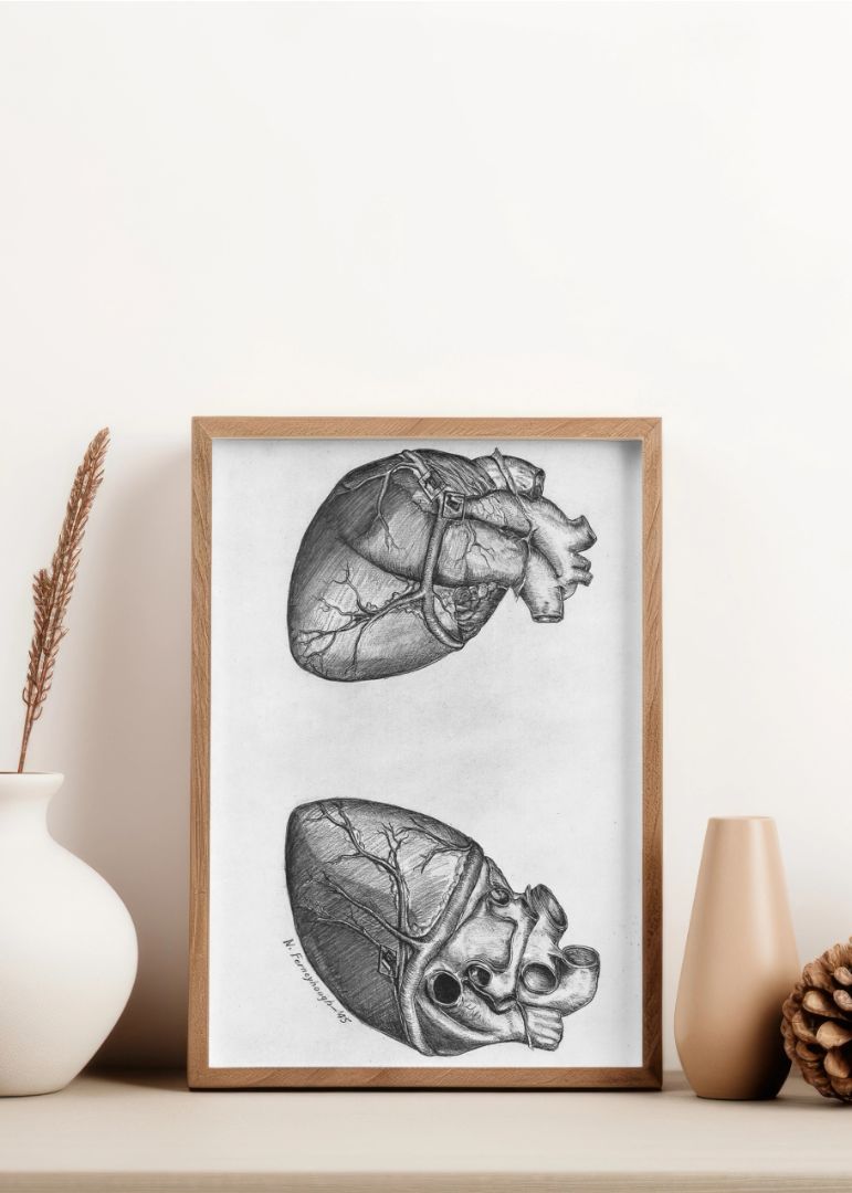 Drawing heart (1945)