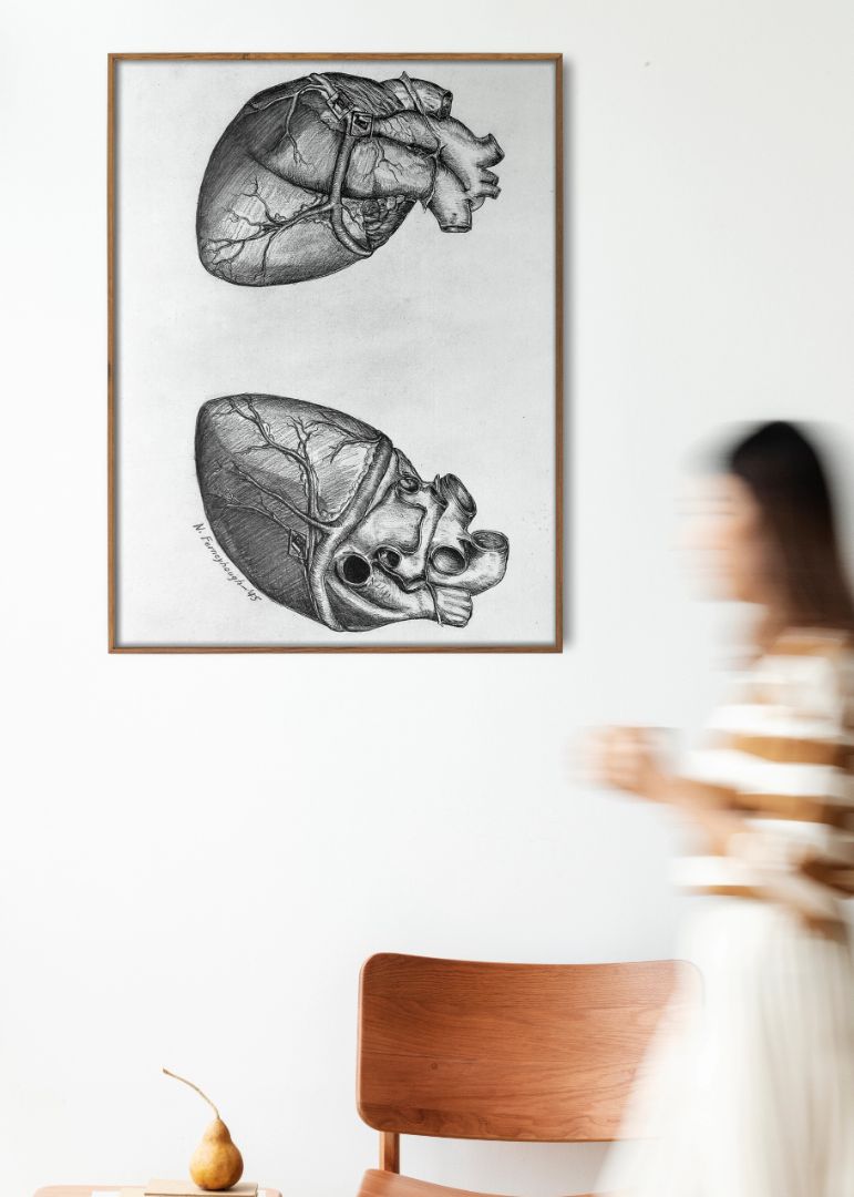 Drawing heart (1945)