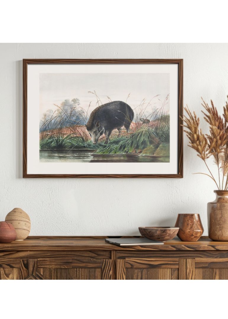 The Andaman Pig