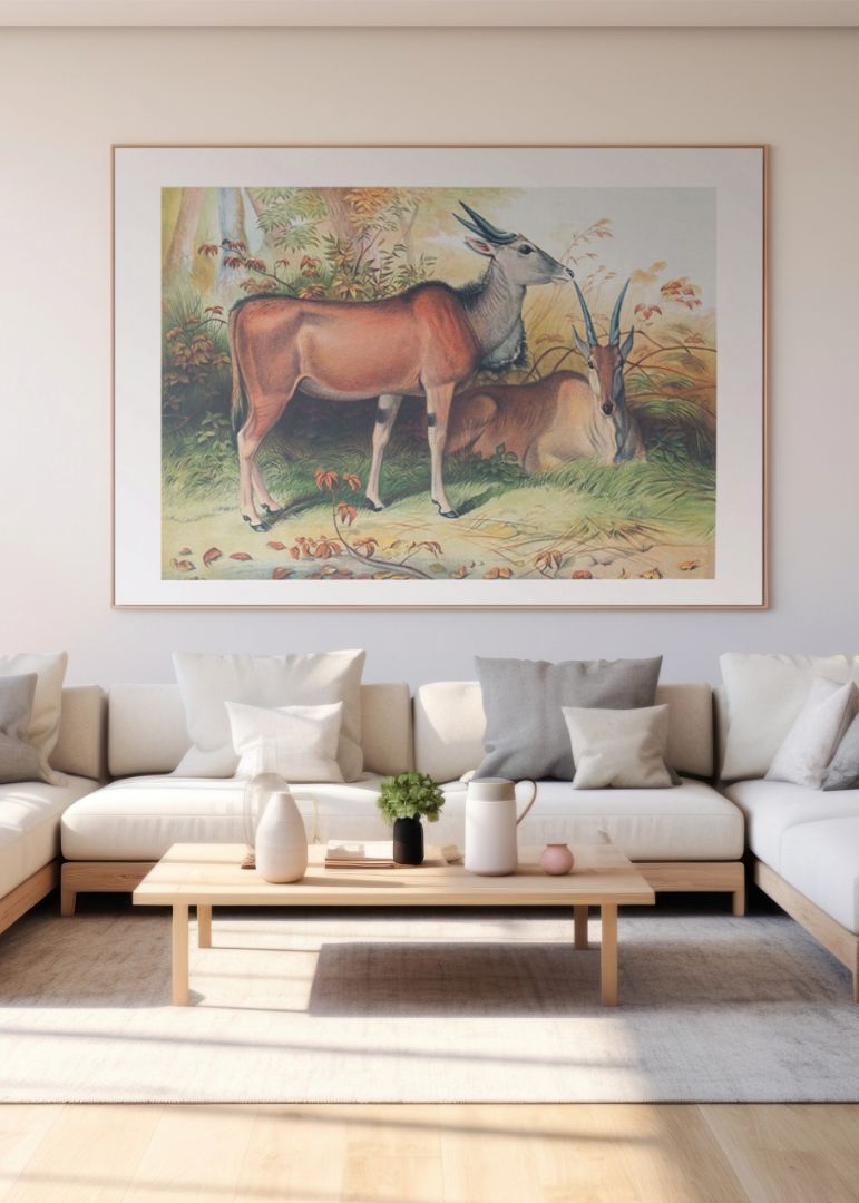 The Eland