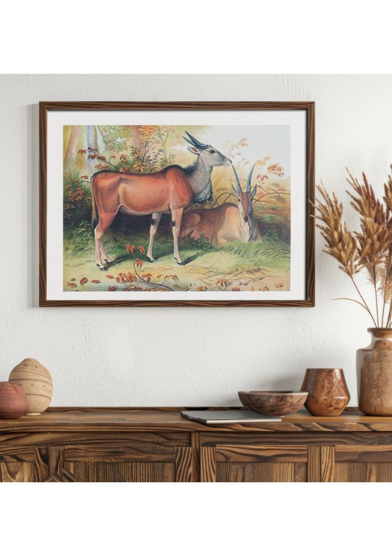 The Eland
