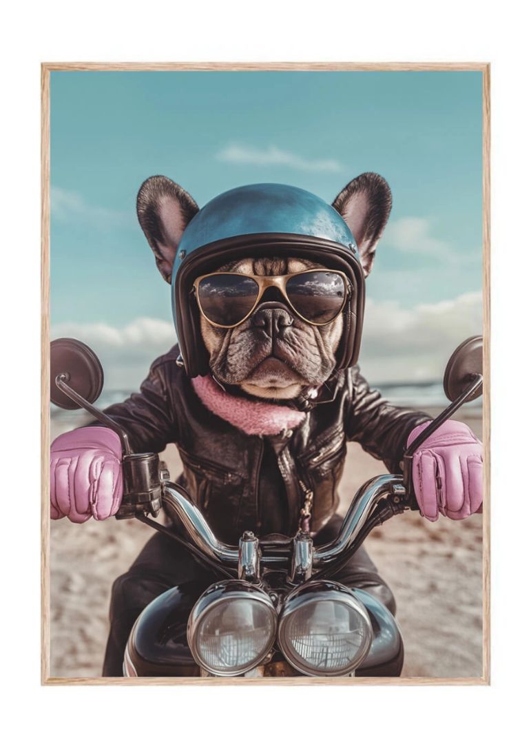 Motorist Bulldog