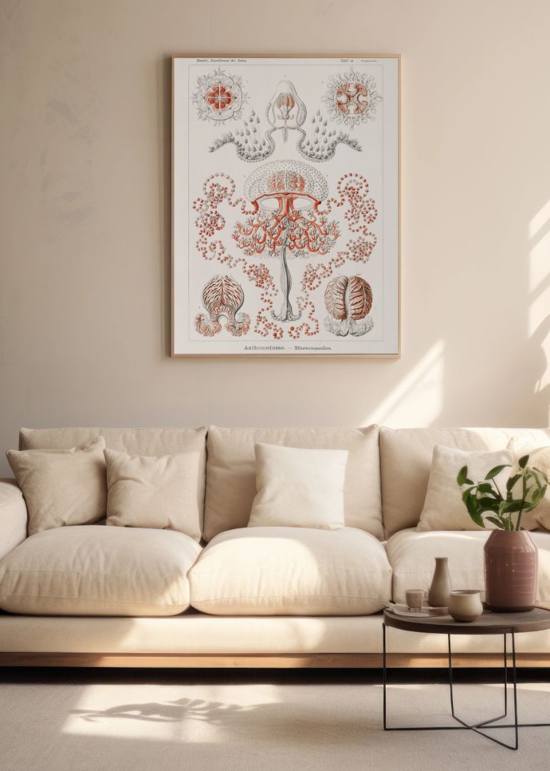 Anthomedusae – Blumenquallen