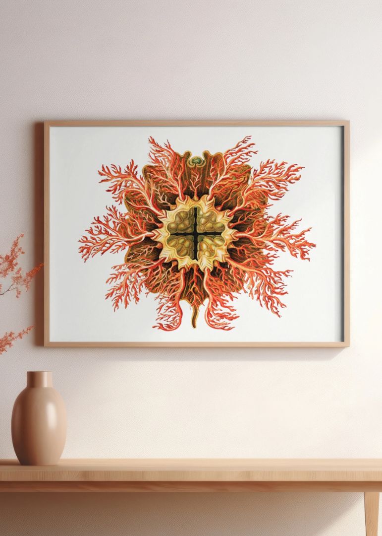 Colorful Tunicate I