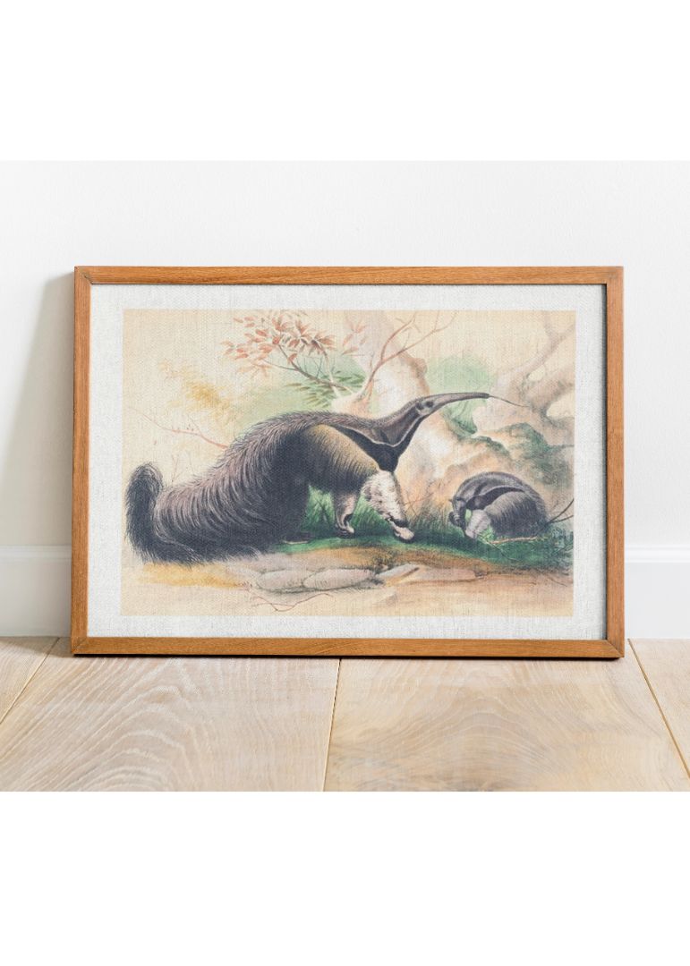 The Great Anteater