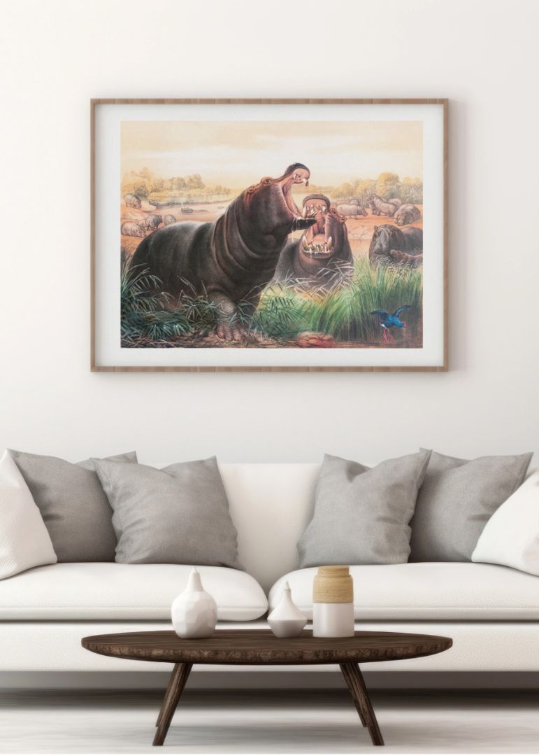 The Hippopotamus