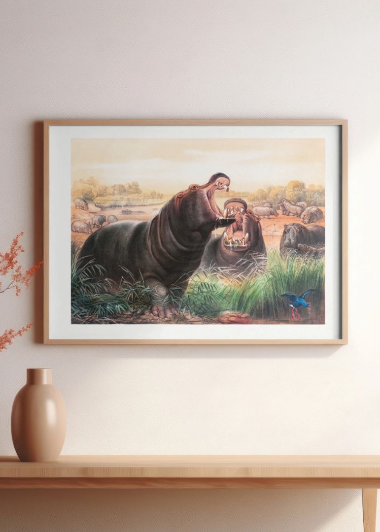 The Hippopotamus