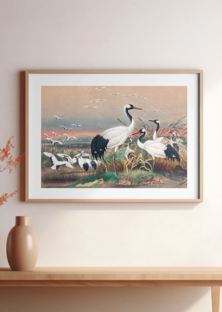 The Mantchurian Crane