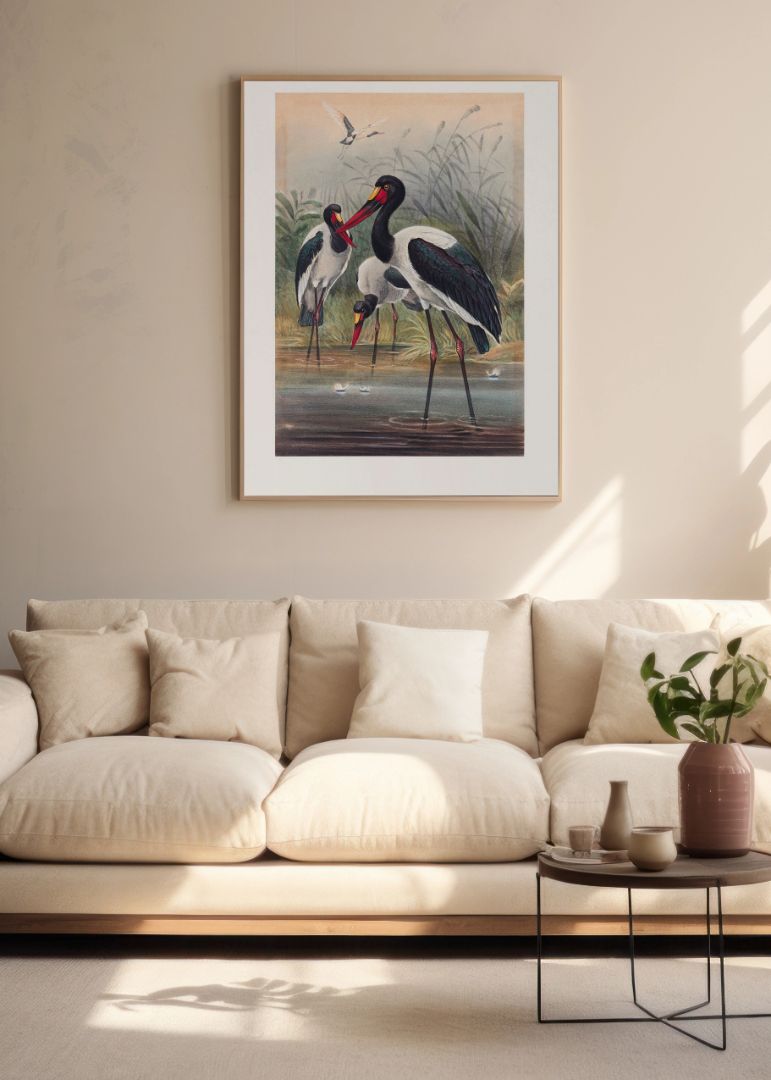 The Saddle-Billed Stork