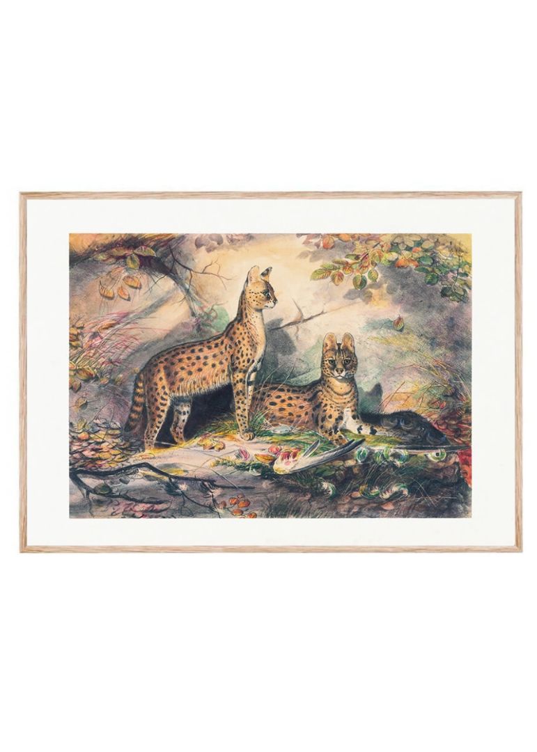 The Serval