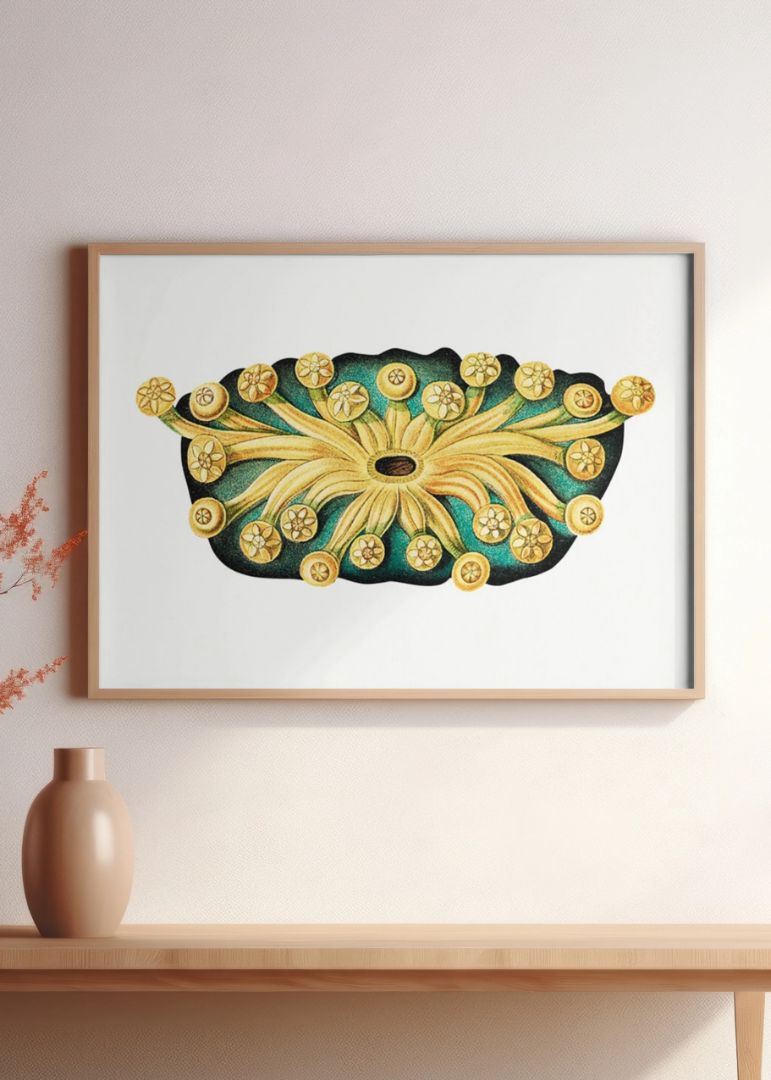 Colorful tunicate IV